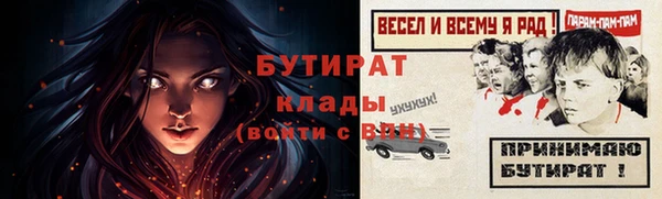 крисы Надым